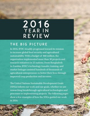 2016 Year in Review cover