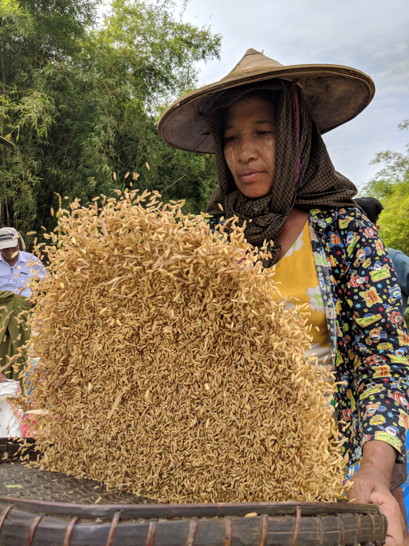 IFDC Annual Reports
